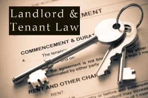 landlord and tenant