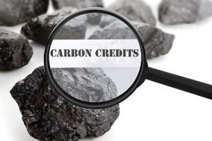 carbon credits